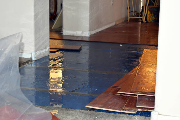 Professional Basement Flood Cleanup technician working in Teterboro, NJ